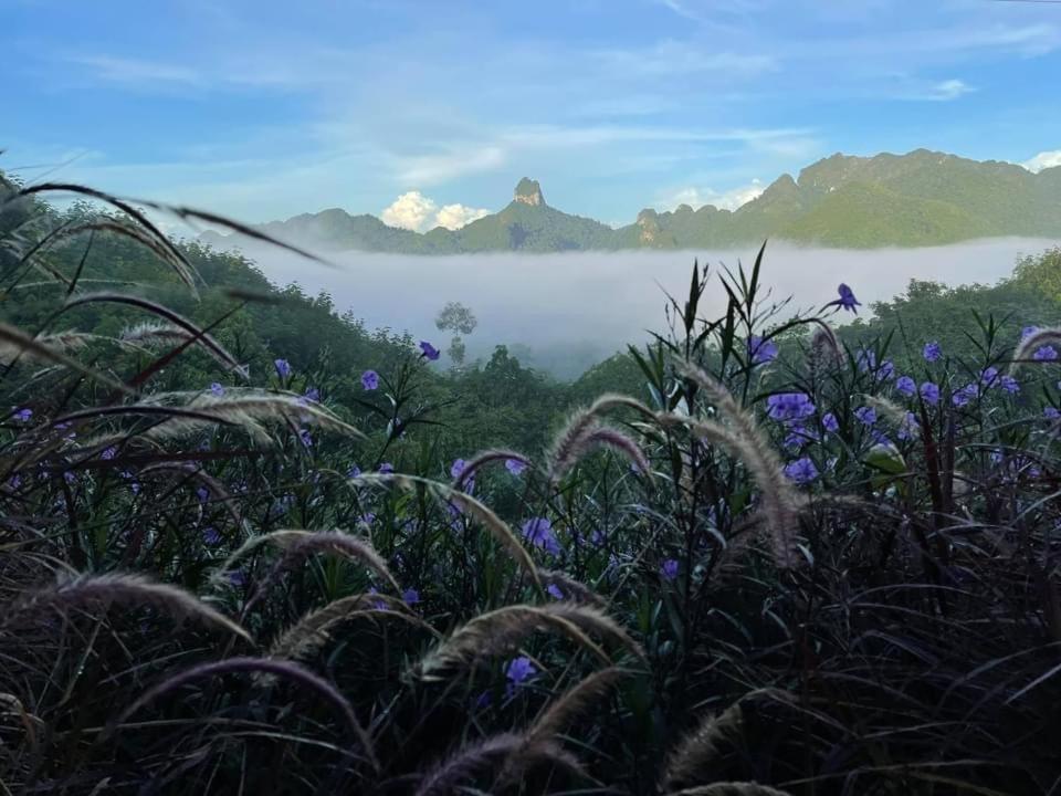 Por Sampao Camp&Resort Ban Pha Saeng Lang Eksteriør bilde